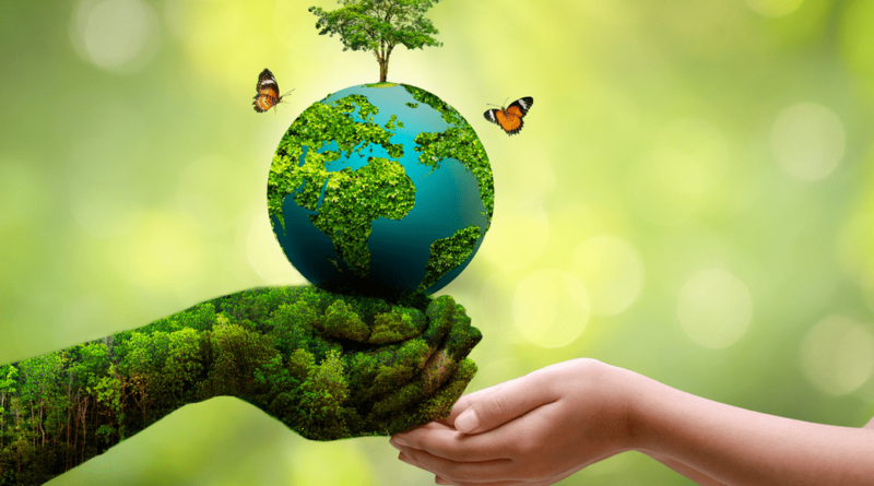 world environment day